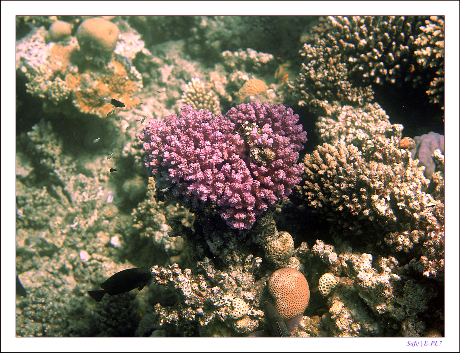 Hurghada - Juillet 2021 - 047